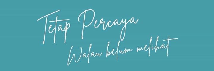 Mas Tinus banner