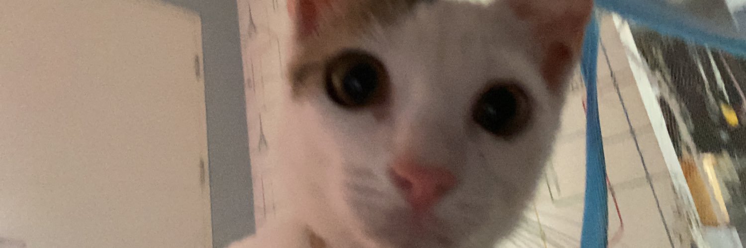 lightstardustt's profile banner image