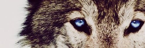 gknproduct's profile banner image