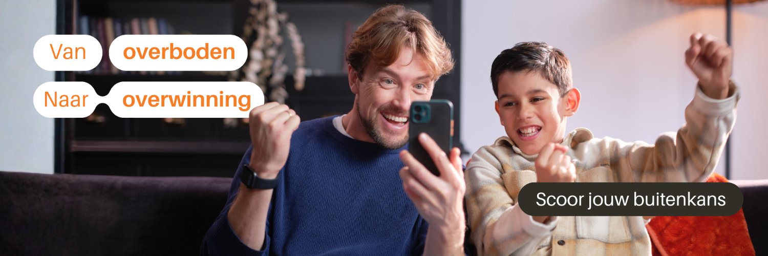 Onlineveilingmeester.nl banner