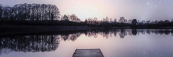 Penerus Putin banner