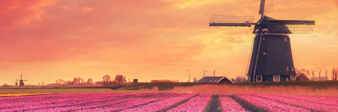 amanel23's profile banner image