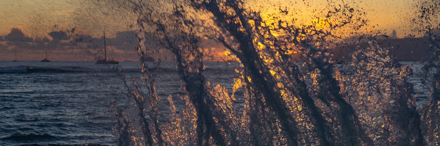 marcellamrocha_'s profile banner image