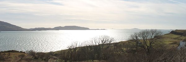 1DavidPickering Profile Banner