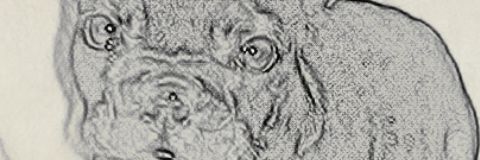 josemita20's profile banner image