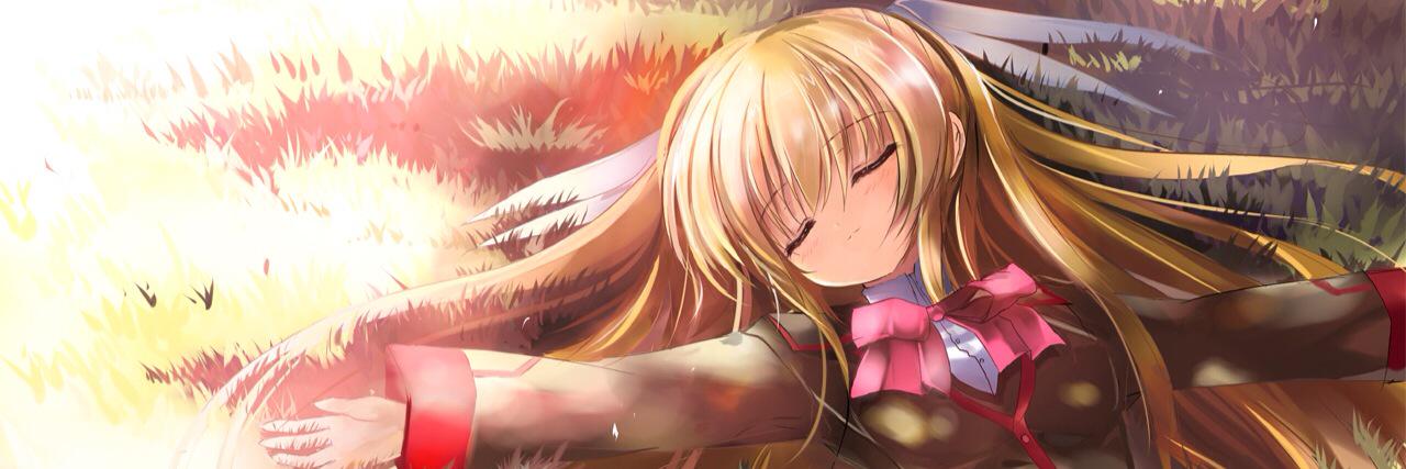 im_shima_br's profile banner image
