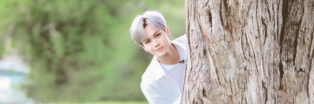 llnyanjun95's profile banner image