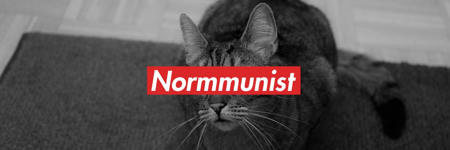 Normmunist Party 𝕏 Profile Banner