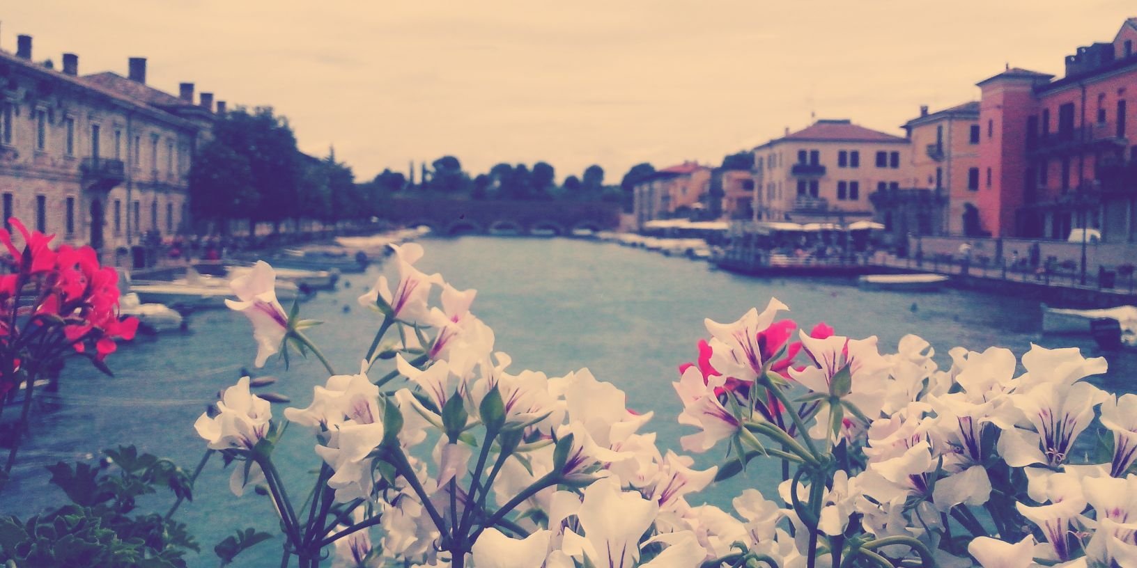 _janinaaa_g's profile banner image