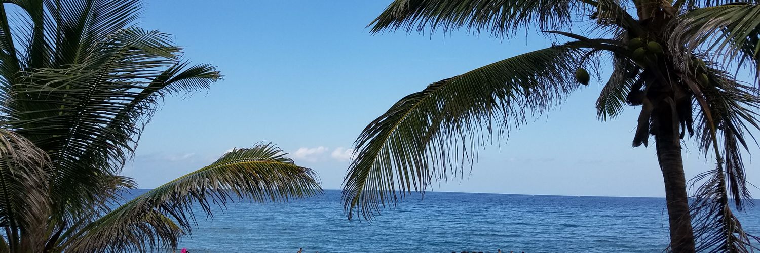 MamaFlores's profile banner image