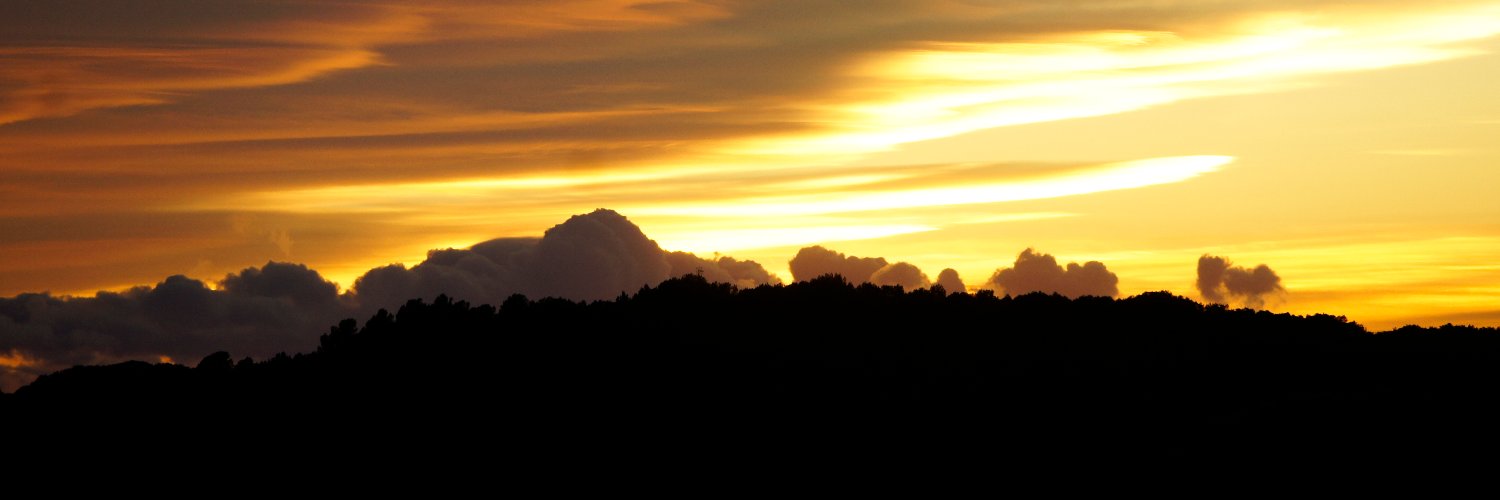 joangrau's profile banner image