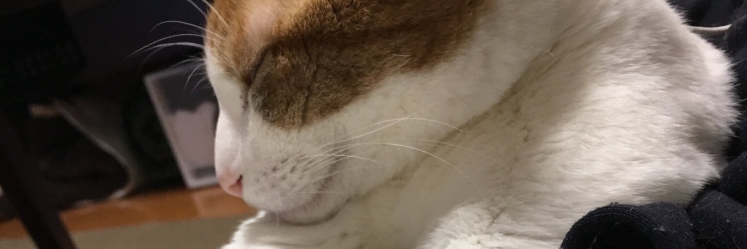 mmmmmmmimu's profile banner image