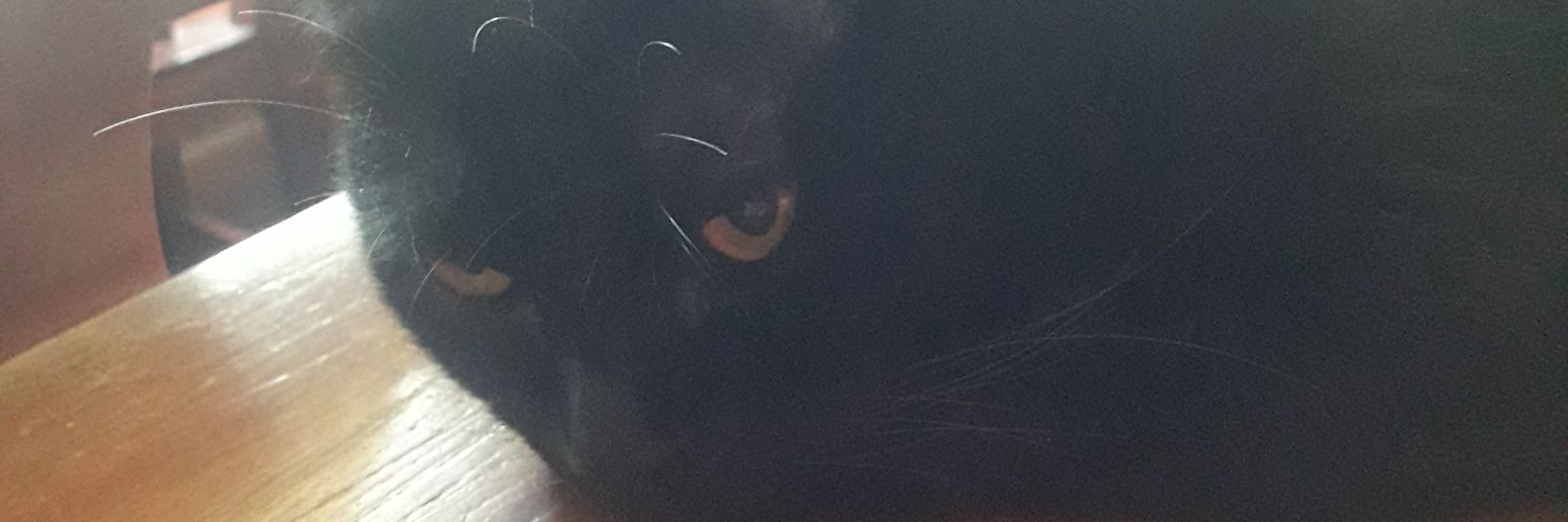 rangsitguy's profile banner image