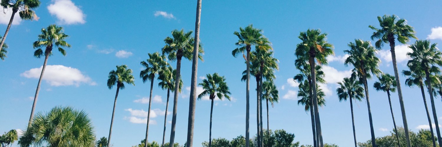 Chloë Mora banner