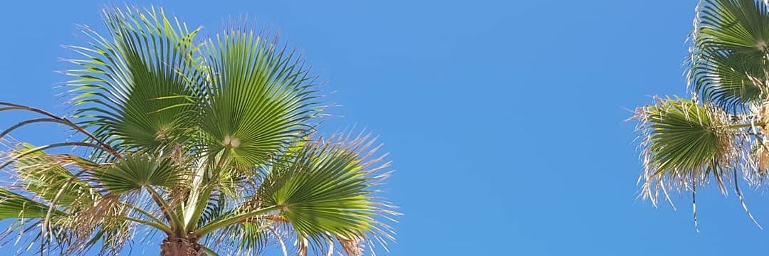 LydiaJudd_'s profile banner image