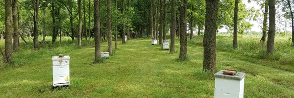 AllysonMRay Profile Banner