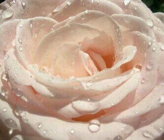 hendri381's profile banner image
