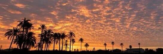 𝓙𝓪𝔂𝓬𝓮𝓵 𝓣𝓸𝓵𝓮𝓽𝓮 banner