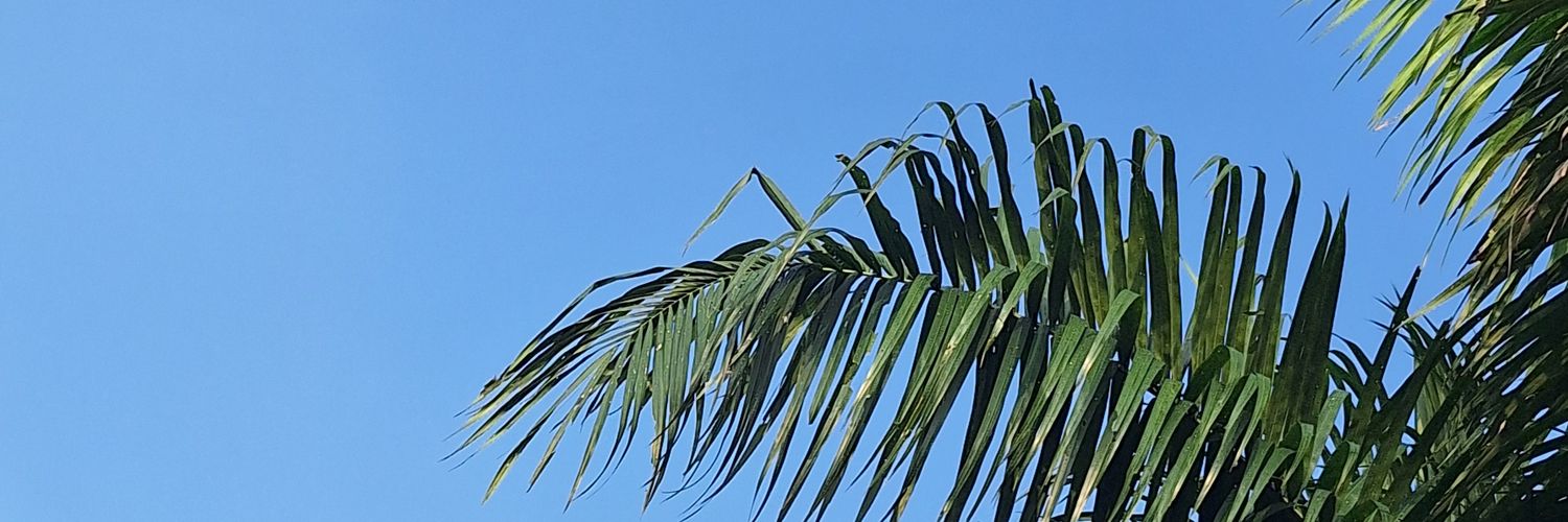 sleepyhoami's profile banner image