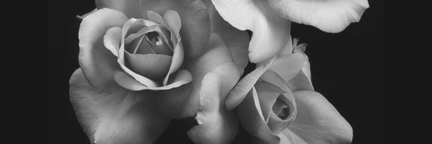 ShariViz's profile banner image