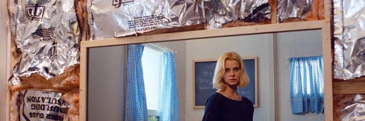 🐰 banner