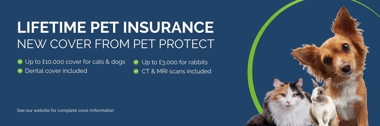 petprotect's profile banner image