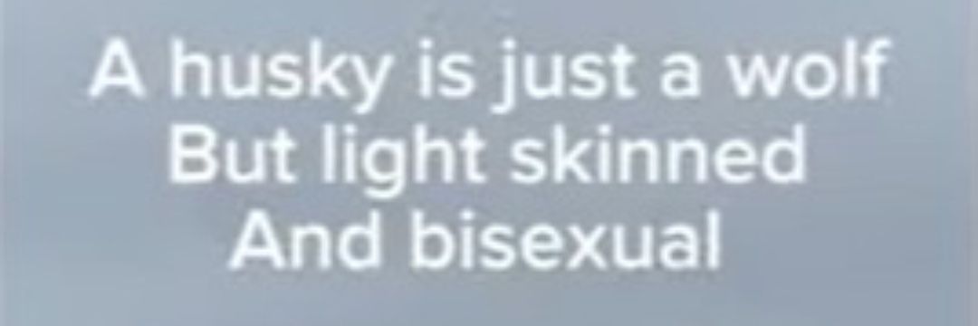 Vërshel banner