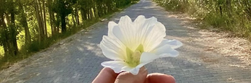 d_dem_'s profile banner image