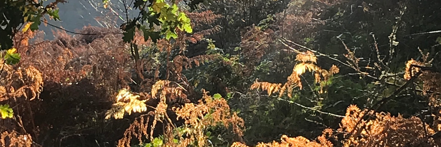 GeraldGiddings's profile banner image