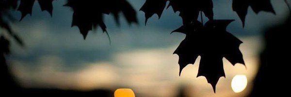 Peterrific_ Profile Banner