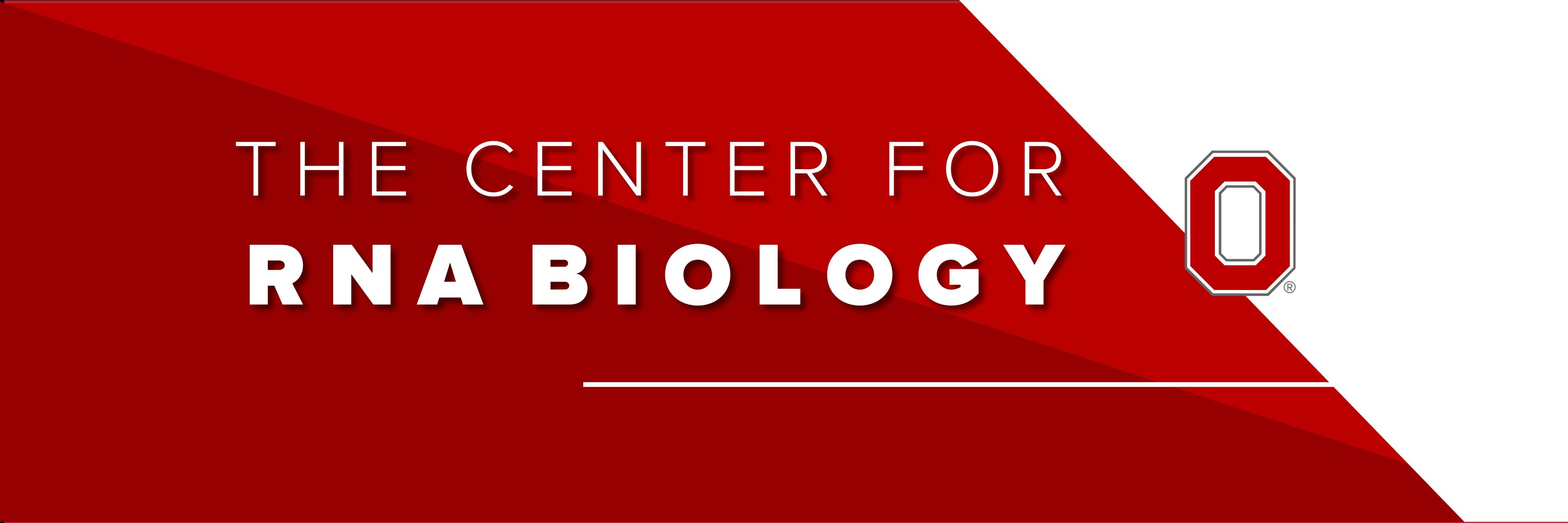 OSU Center for RNA Biology's banner