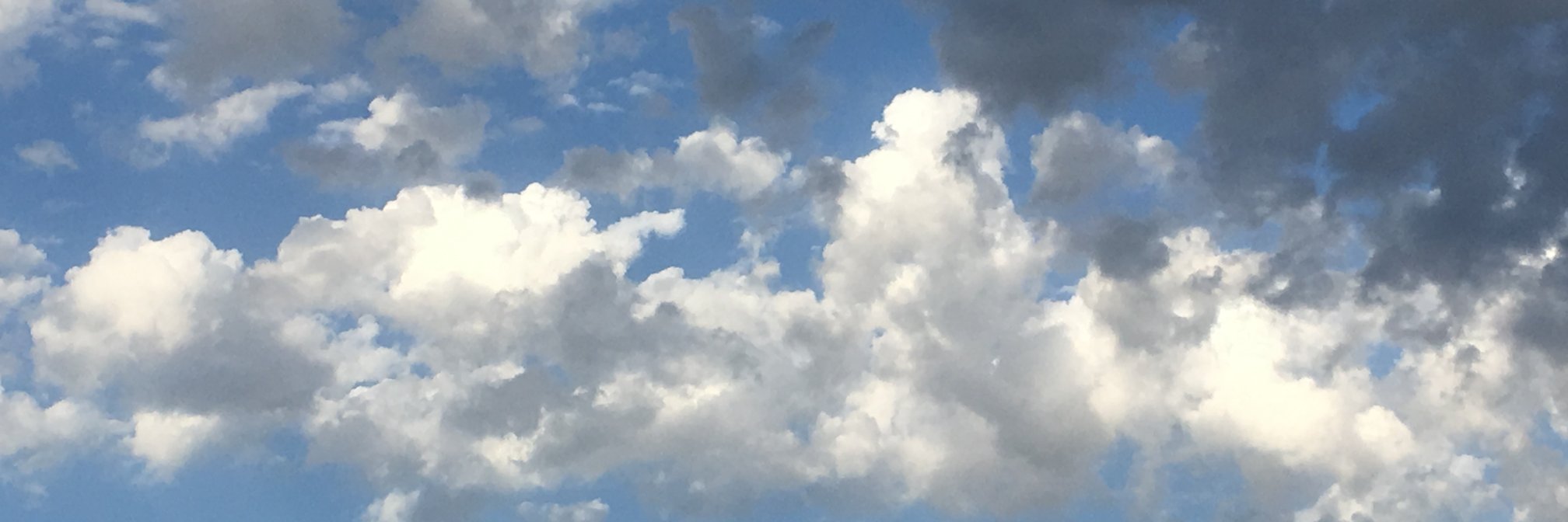 Jose Bettencourt banner