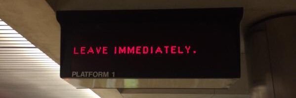 피 banner