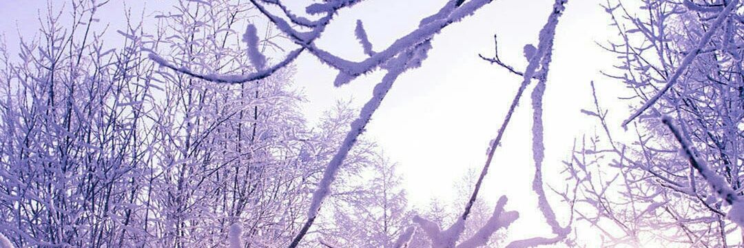 claudia  victoriano banner