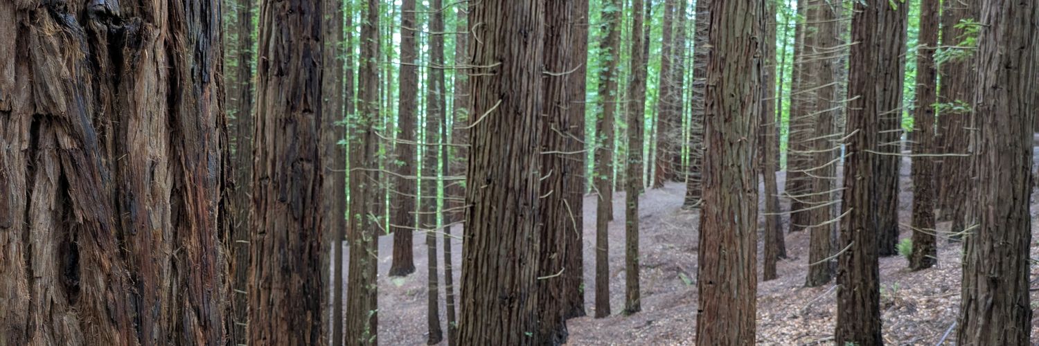 montver's profile banner image