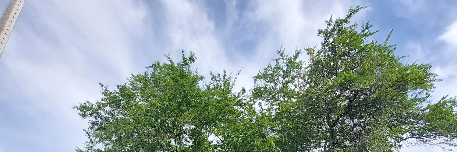 frikkekk's profile banner image