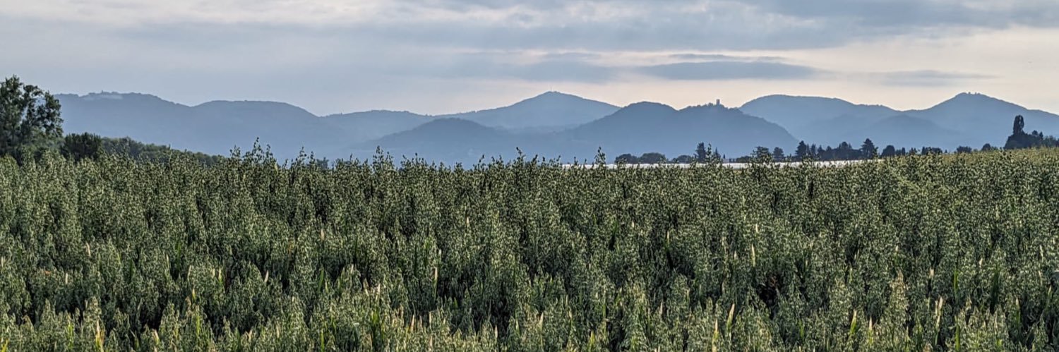 గణేష్ 🇮🇳 banner