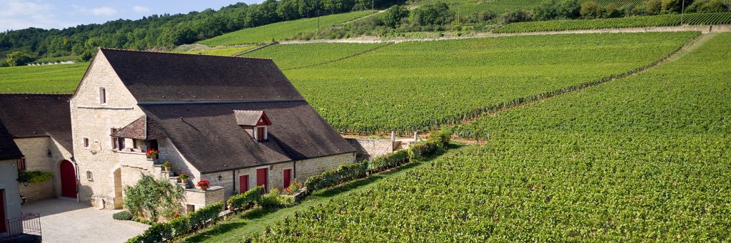 7Vignes's profile banner image
