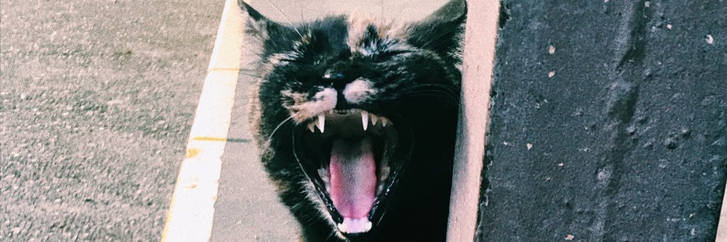 mariabb27's profile banner image