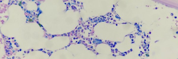 jcksalex Profile Banner