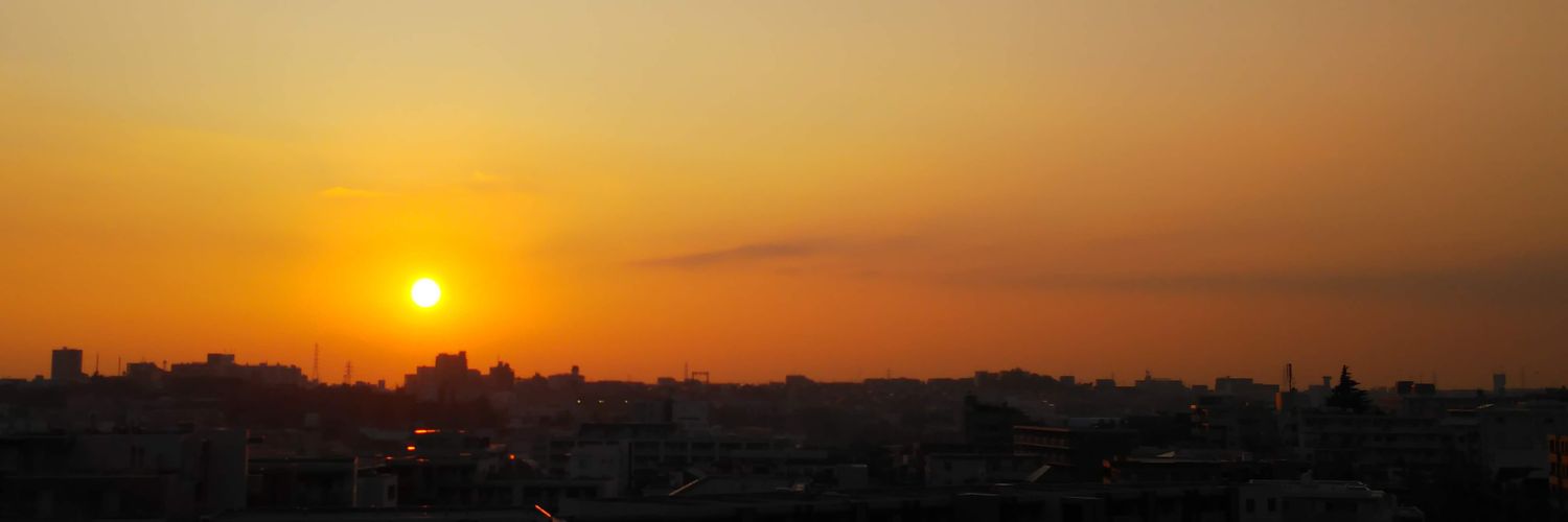 koikoiarare's profile banner image