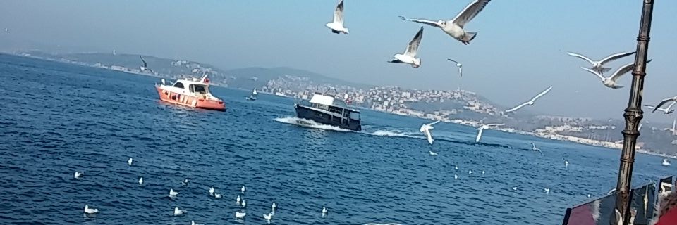 bedir_nur's profile banner image
