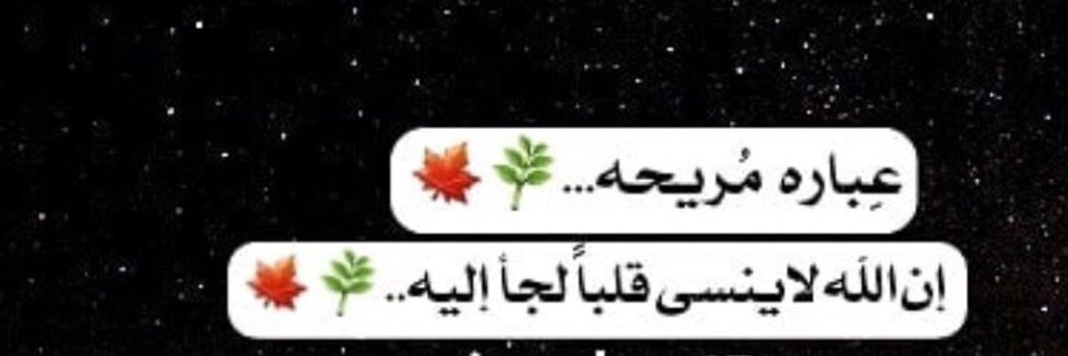 ZA_lyamy's profile banner image