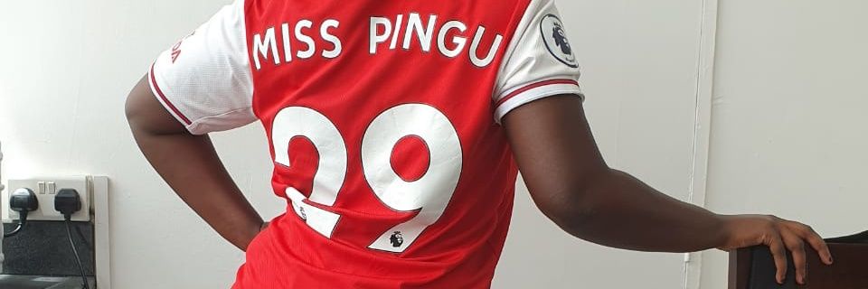 pingumuhuri's profile banner image