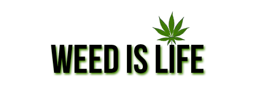 WeedlsLife's profile banner image