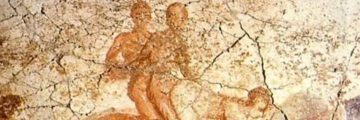 TOP Hawk 💫 banner