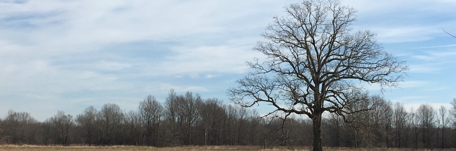mcartneyjack's profile banner image