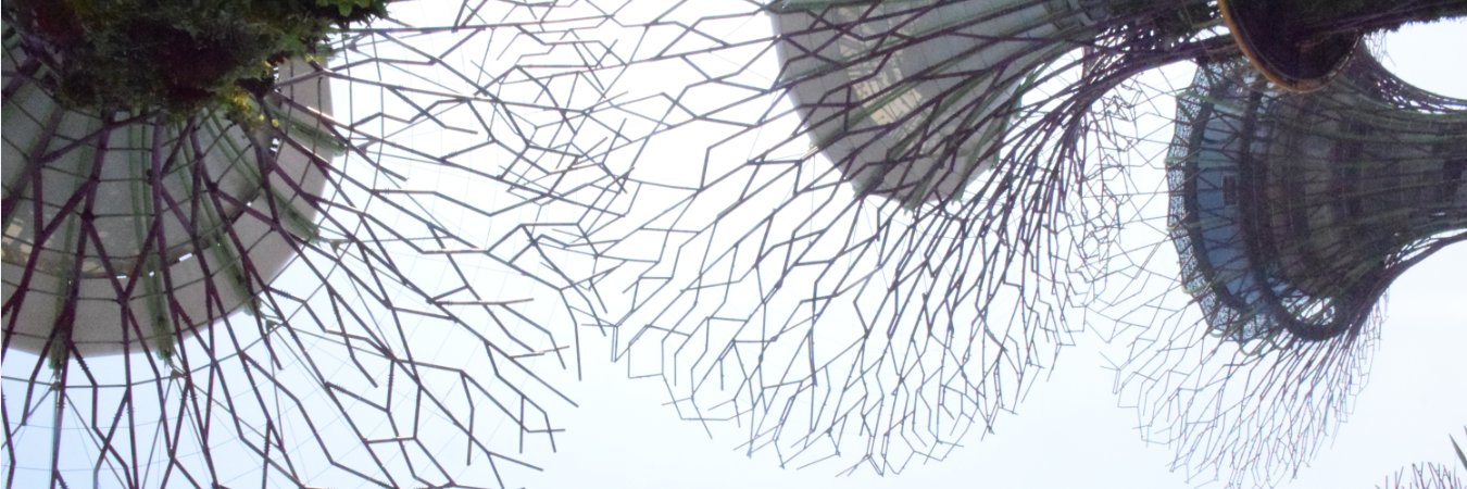 grupolingua's profile banner image