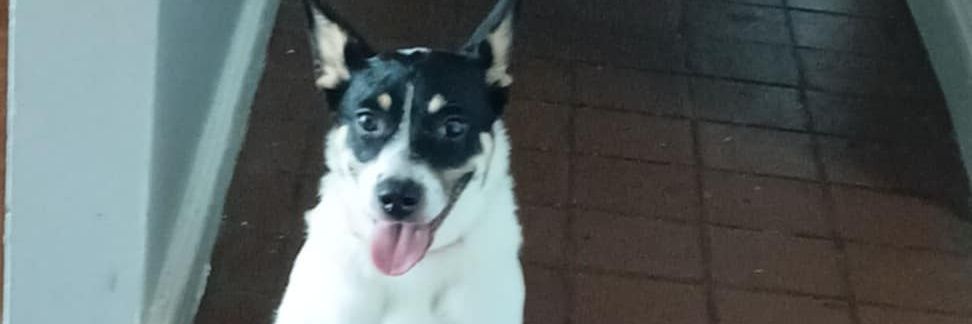 Deejinx75's profile banner image