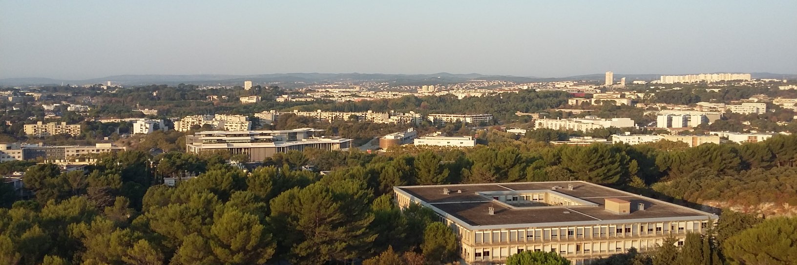 Grégory Vallée banner